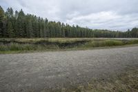 Coastal Plain Ontario Gloomy Landscape 002