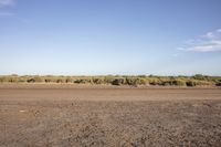 a view of a dry and open landscape with many brushy trees in the distance