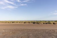 a view of a dry and open landscape with many brushy trees in the distance