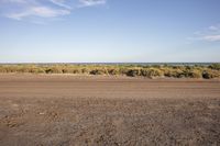 a view of a dry and open landscape with many brushy trees in the distance