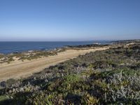 a dirt road runs near the water in front of some sand dunes and shrubs, with two people walking on it