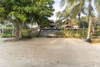 an image of a small resort setting with trees and houses in the background, overlooking the beach,