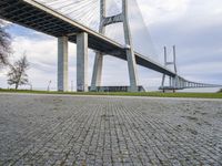 Coastal Road with Bridge and Nature Landscape in Lisbon, Portugal