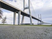 Coastal Road with Bridge and Nature Landscape in Lisbon, Portugal