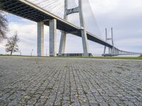 Coastal Road with Bridge and Nature Landscape in Lisbon, Portugal