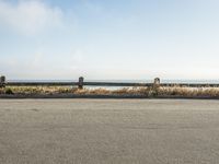 Coastal Road Through California Beach and Trees