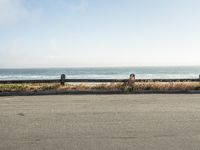 Coastal Road through California Beach with Trees