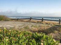 Coastal Road in California with Clear Sky and Spring Flowers