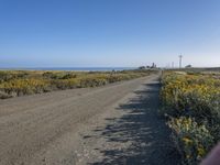 Coastal Road in California: A Nature Landscape