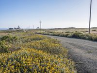 Scenic Coastal Road in California: Embracing Nature's Beauty