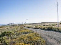 Scenic Coastal Road in California: Embracing Nature's Beauty