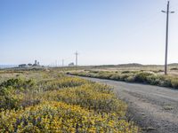 Scenic Coastal Road in California: Embracing Nature's Beauty