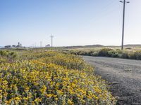 Scenic Coastal Road in California: Embracing Nature's Beauty