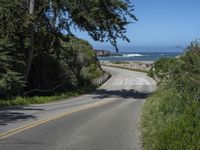 a winding road near a beach and some trees next to the ocean and cliffs,