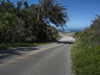 a winding road near a beach and some trees next to the ocean and cliffs,