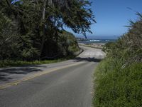 a winding road near a beach and some trees next to the ocean and cliffs,