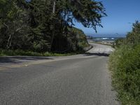 a winding road near a beach and some trees next to the ocean and cliffs,