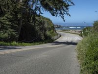 a winding road near a beach and some trees next to the ocean and cliffs,