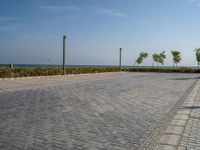 Coastal Road in Egypt: Ocean View