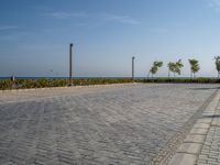 Coastal Road in Egypt: Ocean View