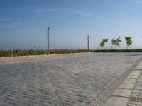 Coastal Road in Egypt: Ocean View