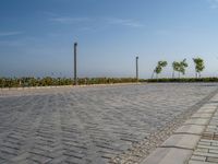 Coastal Road in Egypt: Ocean View