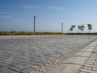 Coastal Road in Egypt: Ocean View