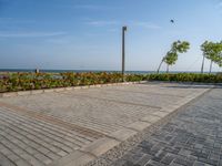 Coastal Road in Egypt: Ocean Views