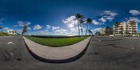 a view of an empty street near the ocean from behind the bushes and lawns