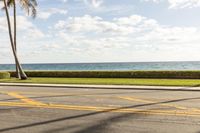 Coastal Road in Florida with Palm Trees and Ocean