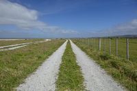 the white dirt road is winding through the grass with two lines of straight metal fences in front