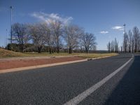 Coastal Road Landscape: Trees and Ocean View