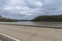 Coastal Road Landscape: Wood and Ocean Views