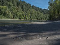 a body of water surrounded by lots of trees, near mountains and grass area with a bike parked