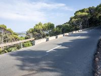 a man rides his bike down a hill next to the ocean and trees, with his feet up