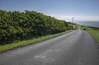 a person riding their skateboard down the middle of a road near the ocean and some bushes