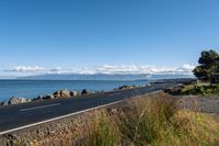 a lone road passing along the ocean side, with rocks and plants in foreground