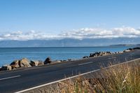 a lone road passing along the ocean side, with rocks and plants in foreground