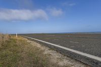 Coastal Road and Ocean Landscape with Grass