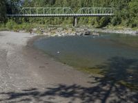 a dog laying on the side of a river with a bridge over it in the distance