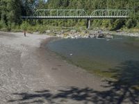 a dog laying on the side of a river with a bridge over it in the distance