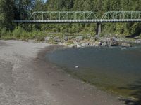 a dog laying on the side of a river with a bridge over it in the distance