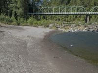 a dog laying on the side of a river with a bridge over it in the distance