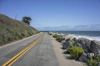 empty road by the ocean, with rocks at edge and trees growing on edge,