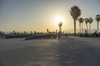 Coastal Road with Palm Trees and Sandy Beaches