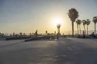 Coastal Road with Palm Trees and Sandy Beaches