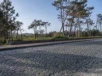 Coastal Road in Porto, Portugal: Cobblestone Pathways