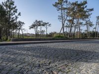 Coastal Road in Porto, Portugal: Cobblestone Pathways