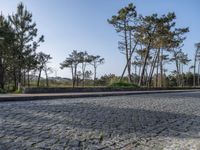 Coastal Road in Porto, Portugal: Cobblestone Pathways