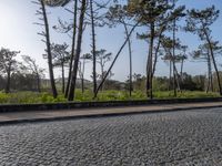 Coastal Road in Porto, Portugal: Cobblestone Pathways